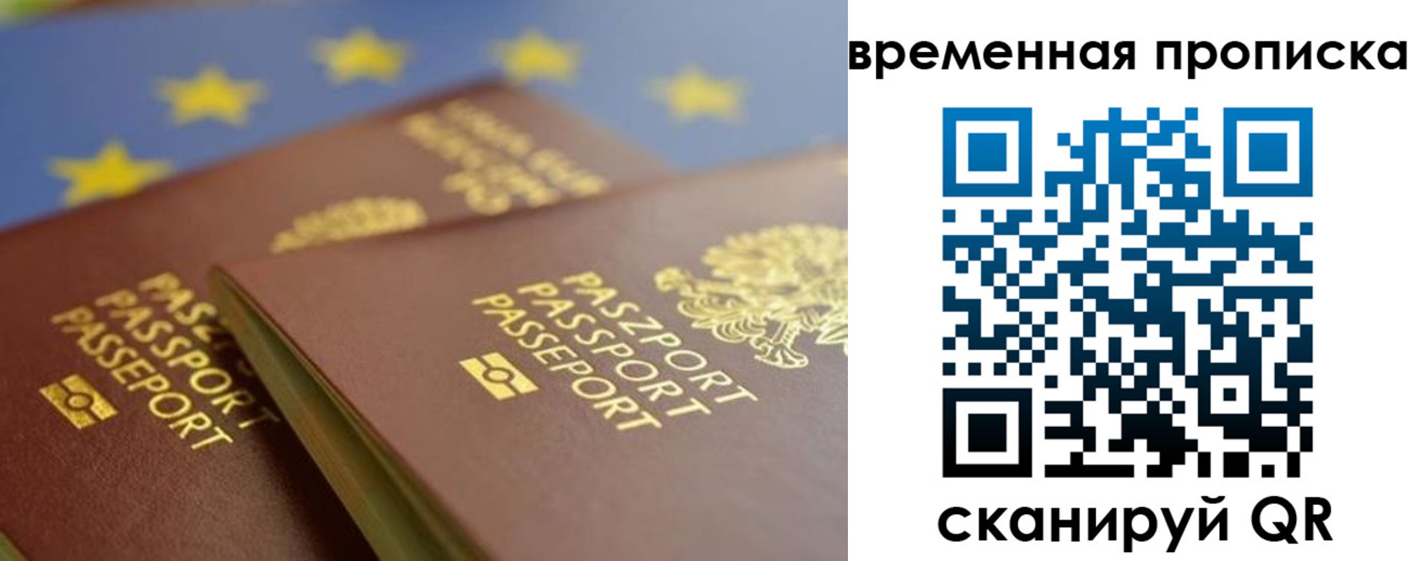прописка законно в Димитровграде